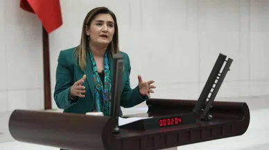 Milletvekili odasında yapılan böcek aramasının sonucu çıktı