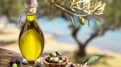 Antalya Zeytinyağında 'Altın Çağ' Vizyonu