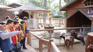 Antalya Doğal Yaşam Parkı’nda Yaban Hayatı Farkındalığı