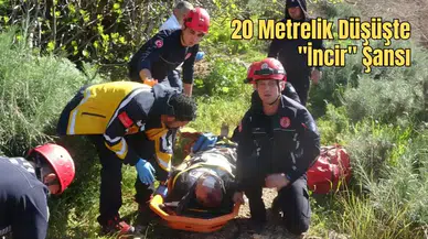 Hayatını İncir Ağacı Kurtardı