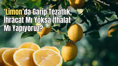 Limonun Başkenti Mersin'de Garip Tezat