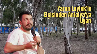 Alper Tüydeş: “Antalya’da Okaliptüs Ağaçları Köklenmeli"