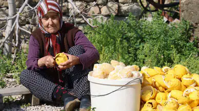 Kozan’da Çöpe Giden Turunç Altına Dönüştü!
