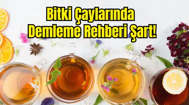 Bitki Çaylarında Yanlış Demleme Devri Bitti!