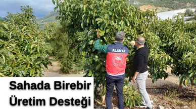 Antalya'da Üreticiye Sahada Destek