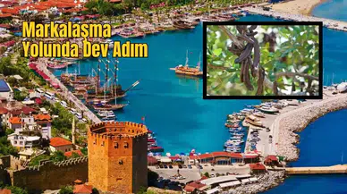 Alanya Keçiboynuzu AB Tescili Yolunda