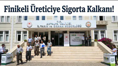 Finikeli Üreticilere Sigorta Kalkanı: TARSİM Uzmanları Sahaya İndi!