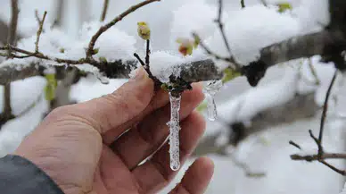 Çiftçiye 'Dondurucu' Uyarı: Bakanlık Kritik Tarihleri Açıkladı!