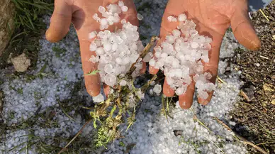 Mersin’de Dolu Tarım Arazilerini Vurdu