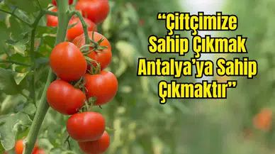 Kaş’ta Çiftçinin 1 Aylık Kazancı Borca Gidiyor