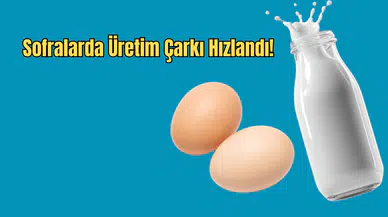 TÜİK Şubat Verilerini Açıkladı: Tavuk Eti ve Süt Üretiminde Son Durum Ne?