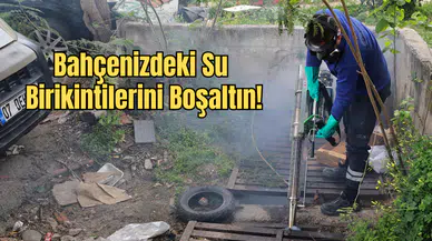 Antalya’da Haşere Nöbeti: Ekipler Aralıksız Sahada