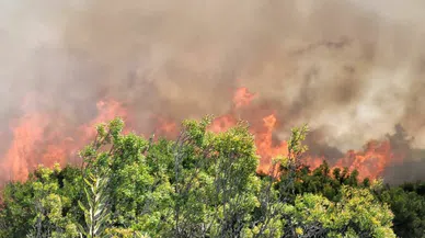 Manavgat'taki orman yangını ihmalden dolayı mı çıktı?