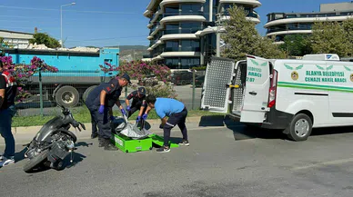 Alanya’da can pazarı