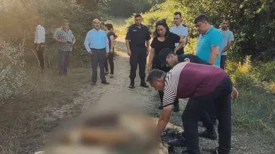 6 KÖPEK ZEHİRLENEREK ÖLDÜRÜLDÜ