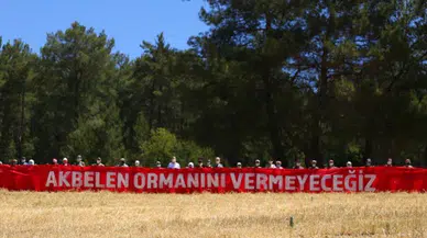 Muğla'daki Akbelen Ormanları için 308 kuruluş birleşti