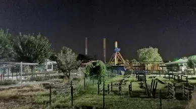 EĞLENMEK İÇİN GİTTİLER, DEHŞETİ YAŞADILAR