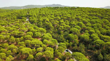 AKBELEN BİTTİ, KOZAK BAŞLADI