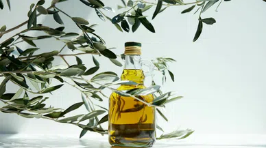 Bakanlıktan zeytinyağı kısıtlaması