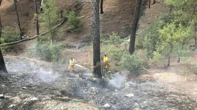 ORMAN YANGININA HIZLI MÜDAHELE