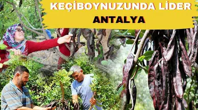 Keçiboynuzunda lider Antalya 