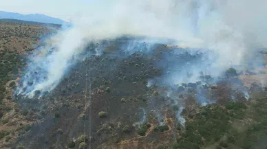 MAKİLİK ALANDA YANGIN