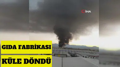 MISIR GEVREĞİ FABRİKASI KÜL OLDU