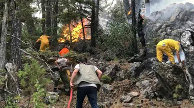 Akseki yangınının faturası kabarık