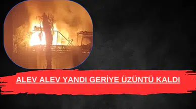 Alev alev yandı geriye üzüntü kaldı