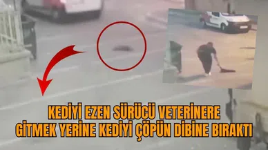 ARABAYLA KEDİYİ EZEN CANİ BAKIN NE İÇİN GERİ DÖNDÜ?