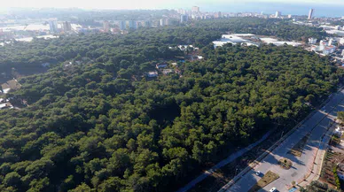 ‘HAYALET ORMAN’A BAKANLIK’TAN RET