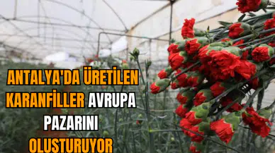 Antalya Dünya Pazarının Yüzde 80'ini Oluşturuyor