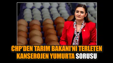CHP’den Tarım Bakanı’nı terleten kanserojen yumurta sorusu