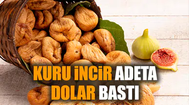 Faydaları saymakla bitmeyen kuru incir adeta dolar bastı
