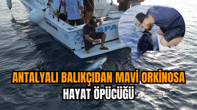 Antalyalı balıkçıdan mavi orkinosa hayat öpücüğü