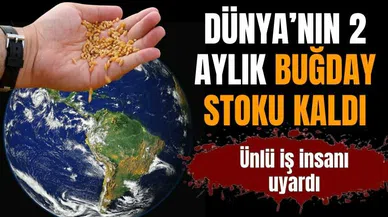 Dünya'nın 2 aylık buğdayı kaldı
