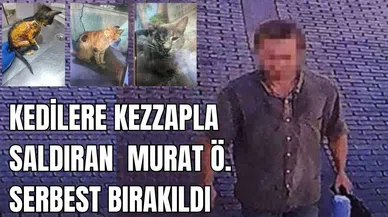 Kezzaplı cani ilk mahkemede serbest bırakıldı