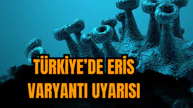 Türkiye'de Eris varyantı uyarısı