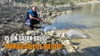 15 bin sazan balığı yavrusu göletle buluştu