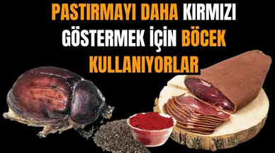 Pastırmayı daha kırmızı göstermek için böcek kullanıyorlar