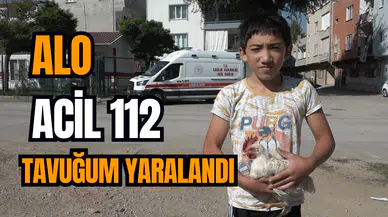 Alo acil 112 tavuğum yaralandı  