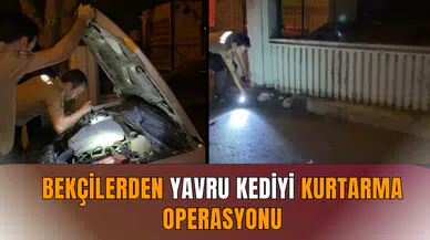 Bekçilerden yavru kediyi kurtarma operasyonu