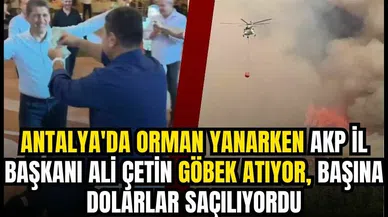 Antalya’da orman yanarken AKP İl Başkanı göbek atıyor başına dolarlar saçılıyordu