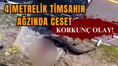 Korkunç olay! 4 metrelik timsahın ağzında ces*t