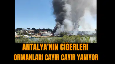 Antalya'nın ciğerleri ormanları cayır cayır yanıyor