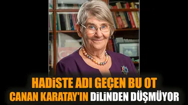 Hadiste adı geçen bu ot Canan Karatay'ın dilinden düşmüyor