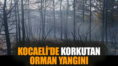Kocaeli'de korkutan orman yangını