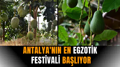 Antalya'nın en egzotik festivali başlıyor