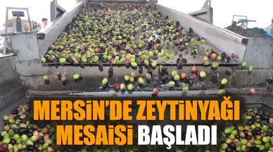 Mersin’de zeytinyağı mesaisi başladı