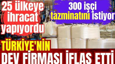 25 ülkeye ihracat yapan Türkiye'nin dev firması iflas etti